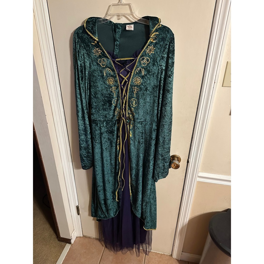 Disney Hocus Pocus Winifred Sanderson Costume Green Velvet Dress Plus 1X Spirit - Picture 2 of 14